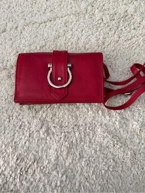 Saphan Stanley Crossbody in the rare color lipstick